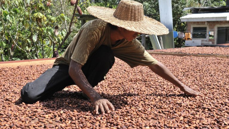 Perú responde a Bolivia y suspende las importaciones de soya, chía, maní y ganado bovino