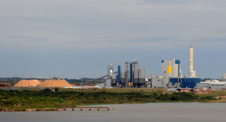 Nueva planta de celulosa en Uruguay podría crear grietas en futura coalición de Gobierno